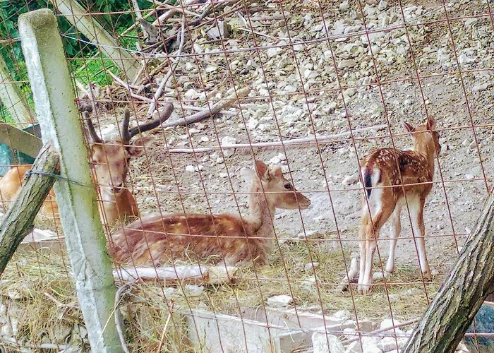 Hunor Hotel Sátoraljaújhely
